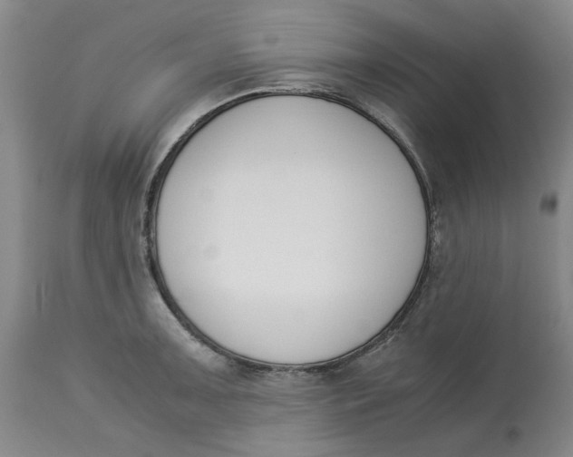 X0000113171091200909251411