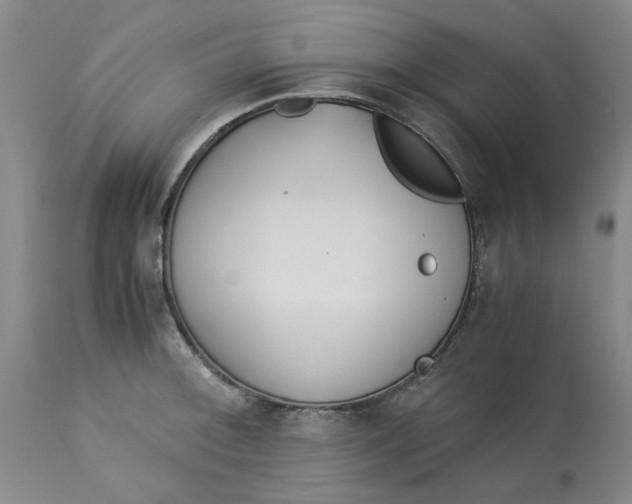 X0000113171092200909251411