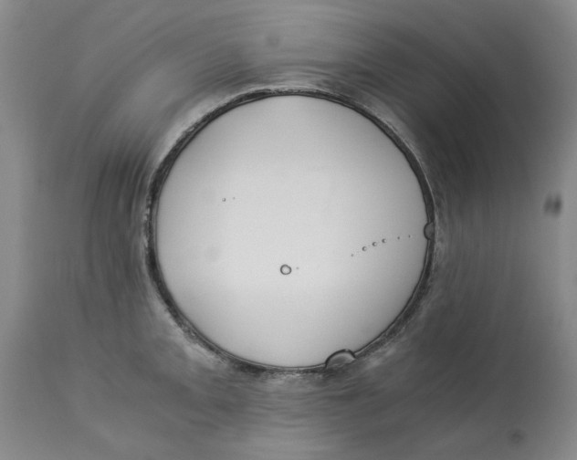 X0000113171093200909251411