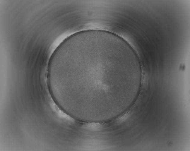 X0000113171094200909251411