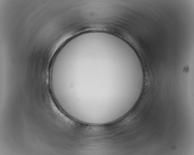 X0000113171095200909251411