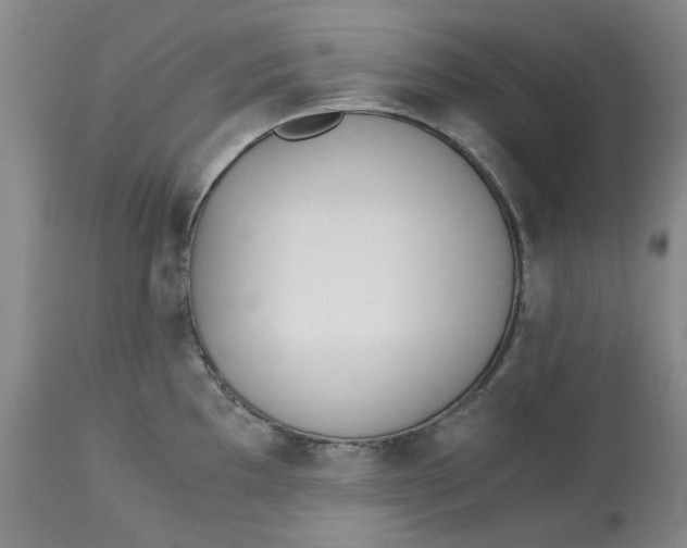 X0000113171097200909251411