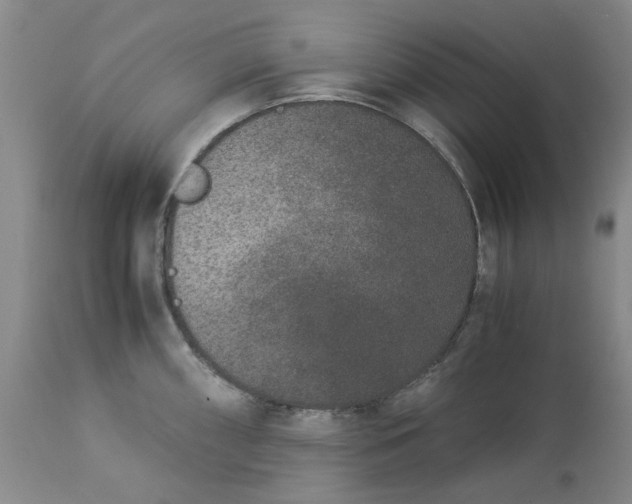 X0000113171098200909251411