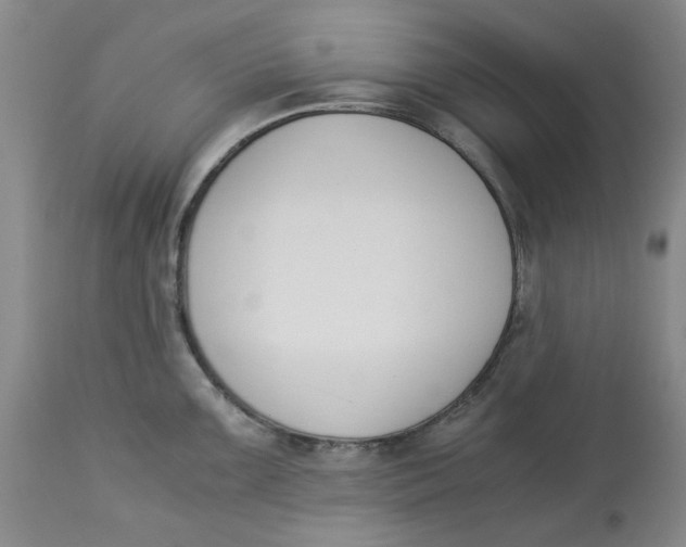 X0000113171099200909251411