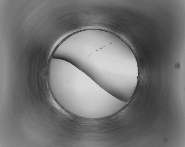 X0000113171100200909251411