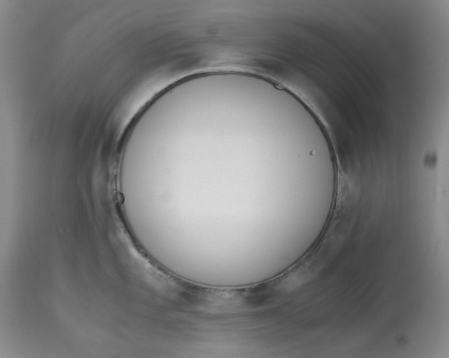 X0000113171101200909251411