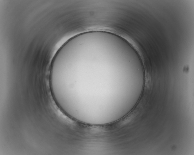 X0000113171102200909251411