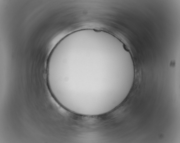 X0000113171103200909251411