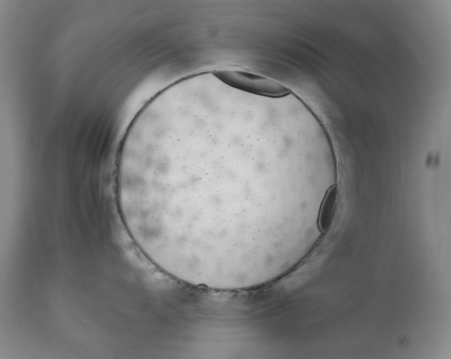 X0000113171104200909251411