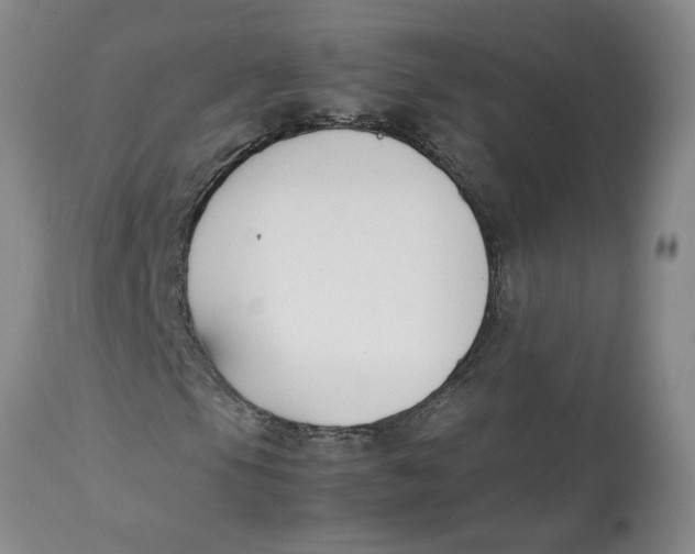 X0000113171105200909251410