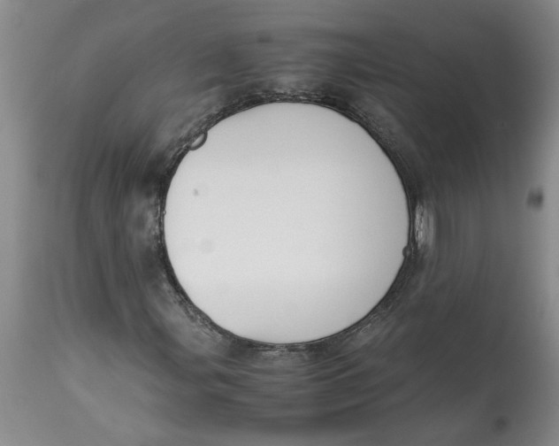 X0000113171107200909251410