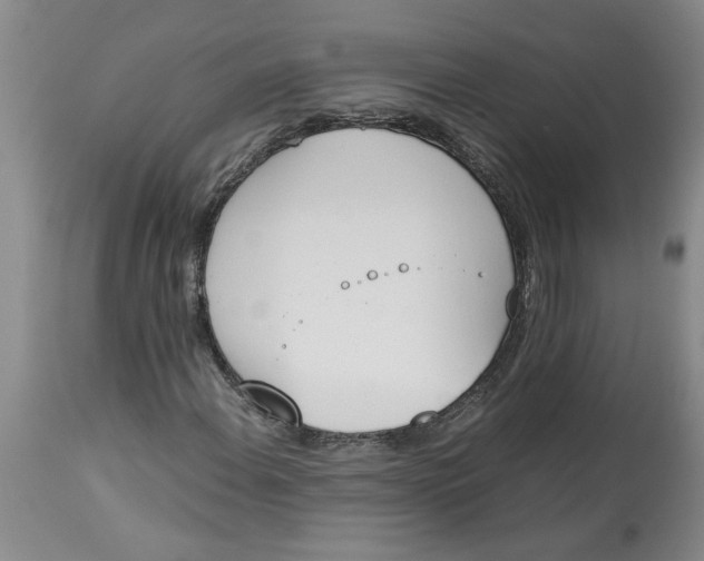 X0000113171108200909251410