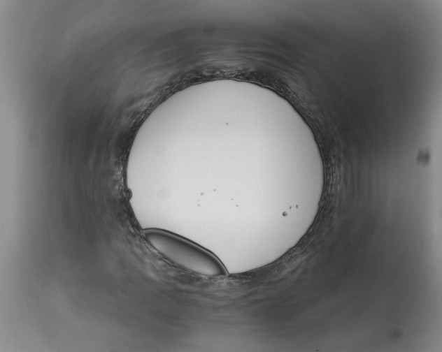 X0000113171109200909251410