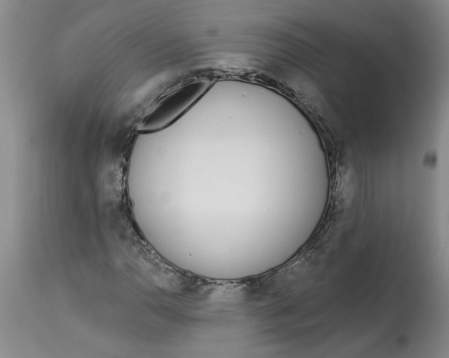 X0000113171110200909251410