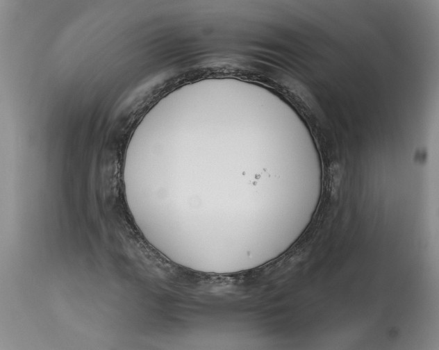 X0000113171111200909251410