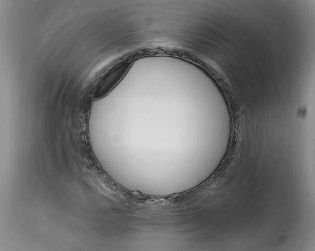 X0000113171112200909251410