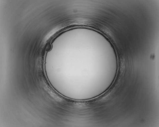 X0000113171114200909251410