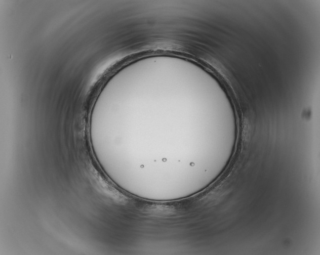 X0000113171115200909251410