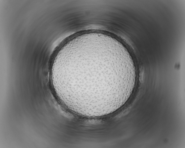 X0000113171117200909251410