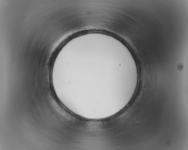 X0000113171118200909251410