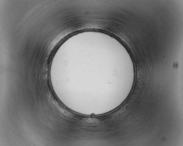 X0000113171119200909251410