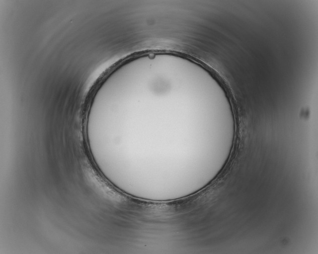 X0000113171120200909251410