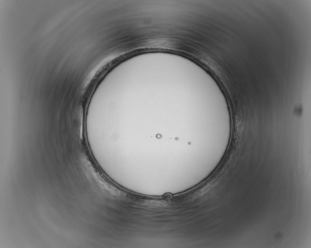 X0000113171123200909251410