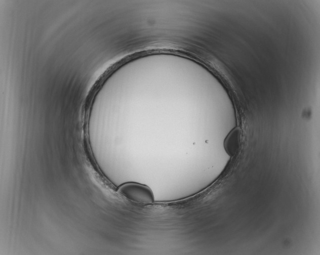 X0000113171124200909251410