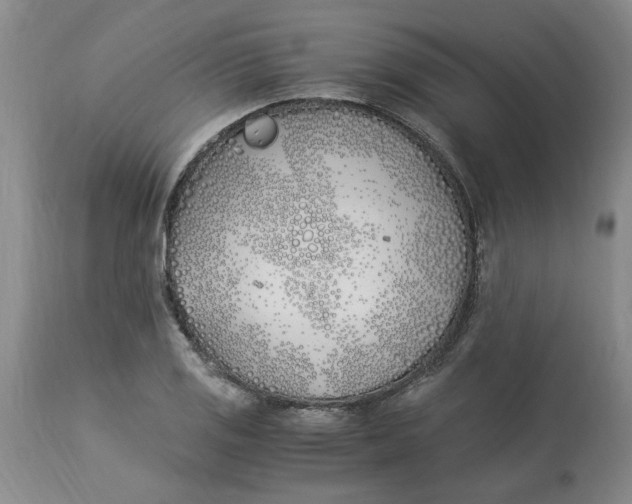 X0000113171125200909251410