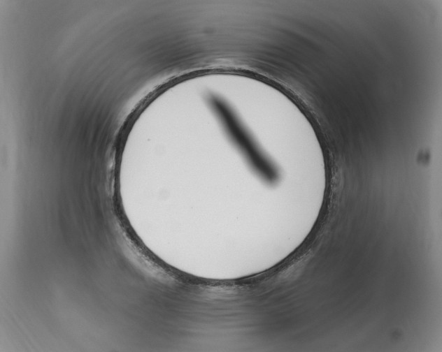 X0000113171126200909251411