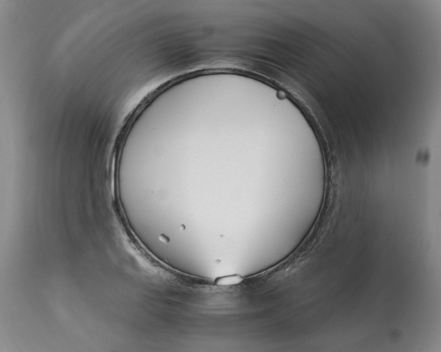 X0000113171127200909251411