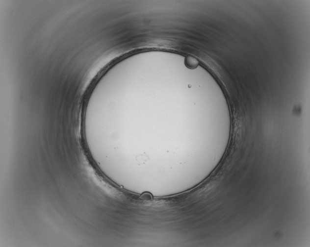 X0000113171131200909251411