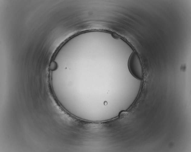 X0000113171134200909251411