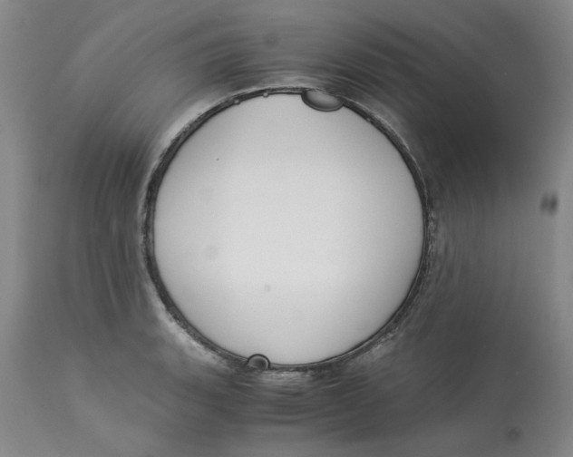 X0000113171135200909251411