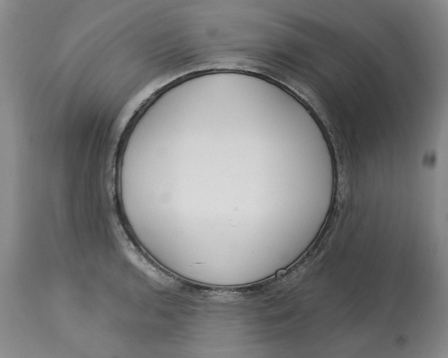 X0000113171136200909251411