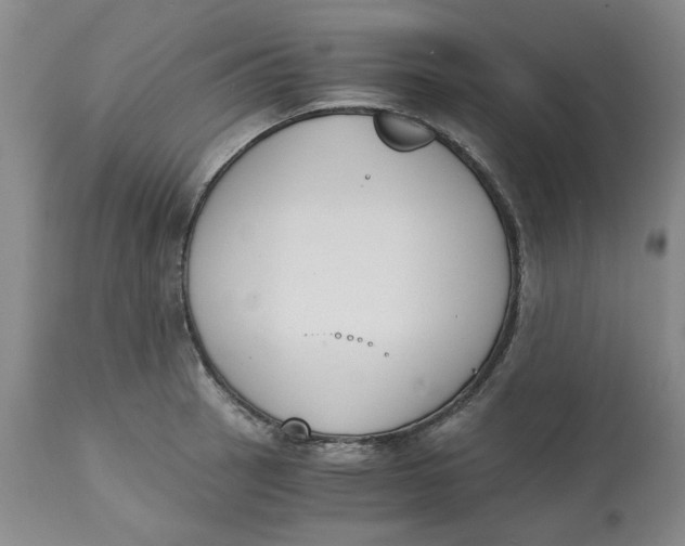 X0000113171137200909251411