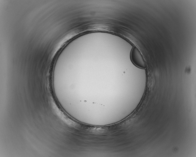 X0000113171139200909251411