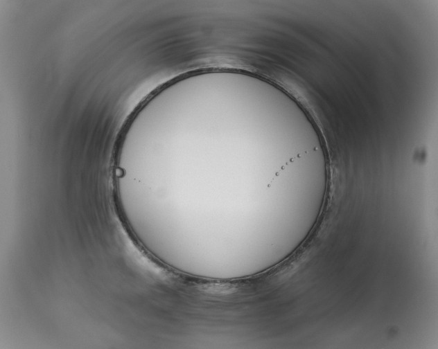 X0000113171141200909251411