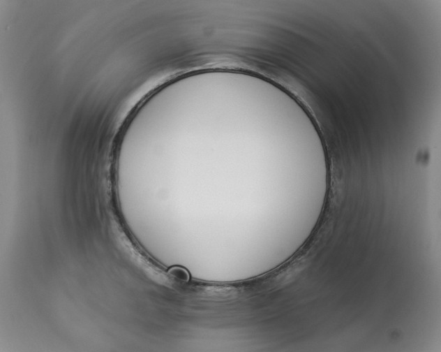 X0000113171142200909251411