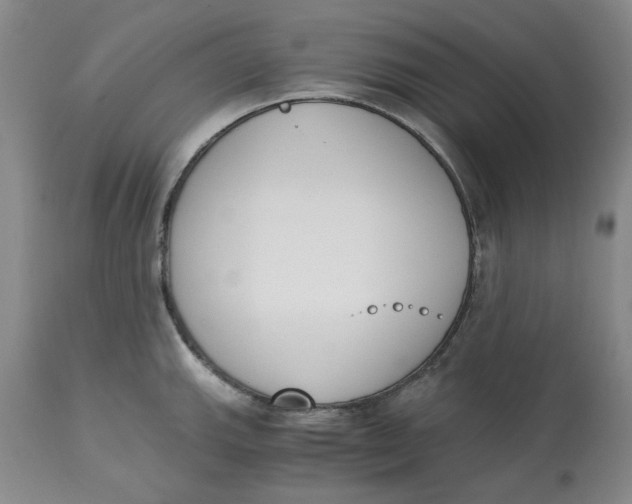 X0000113171143200909251411