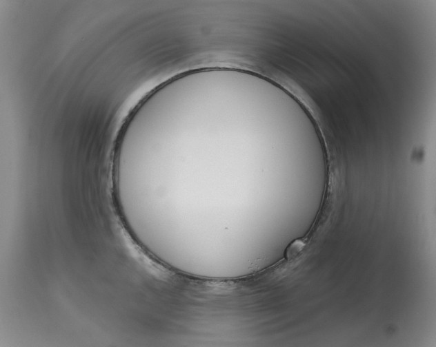 X0000113171144200909251411