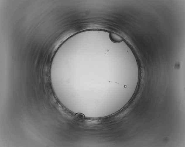 X0000113171145200909251411