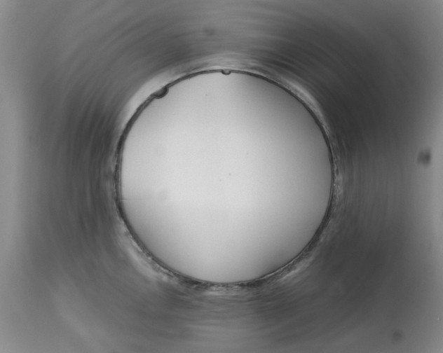 X0000113171146200909251411