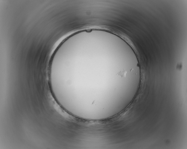 X0000113171148200909251411