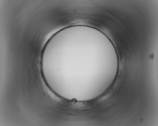 X0000113171149200909251411