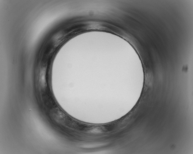 X0000113171150200909251411