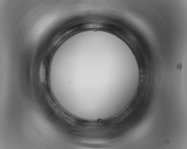 X0000113171151200909251411