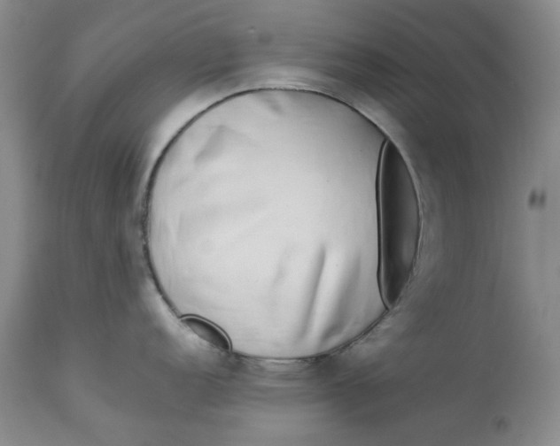 X0000113171152200909251411