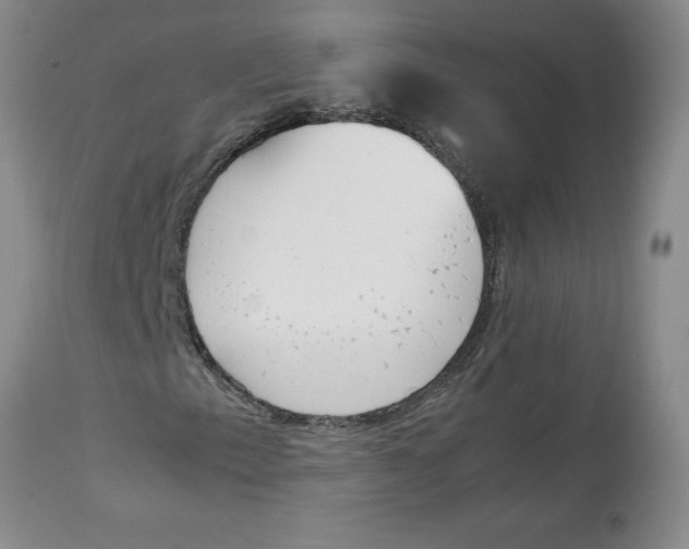 X0000113171153200909251410