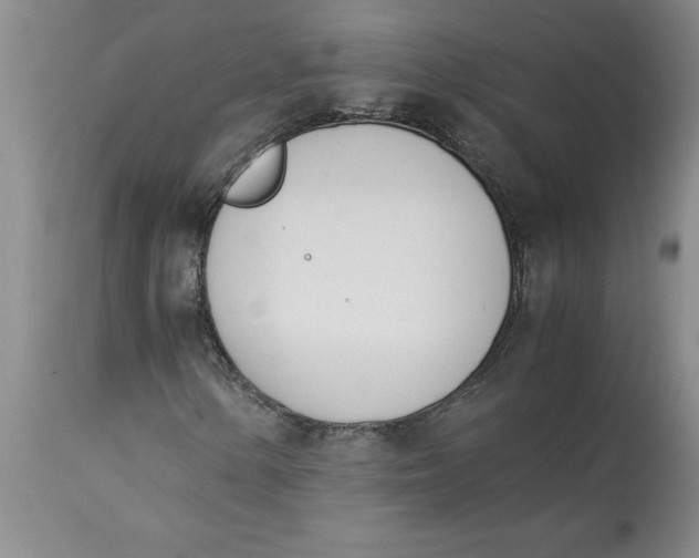 X0000113171154200909251410